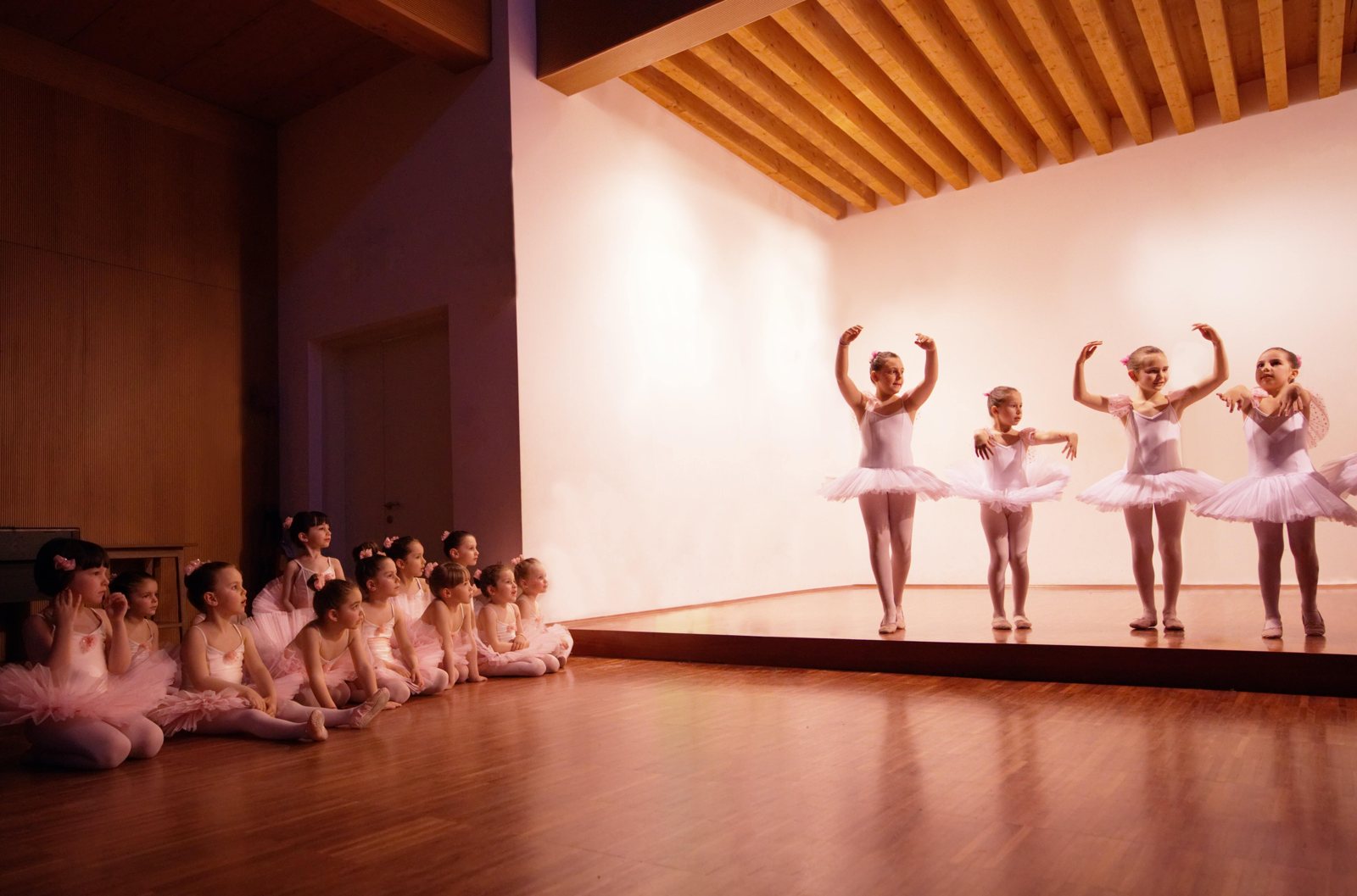Ballet dancers posed in a line on stage